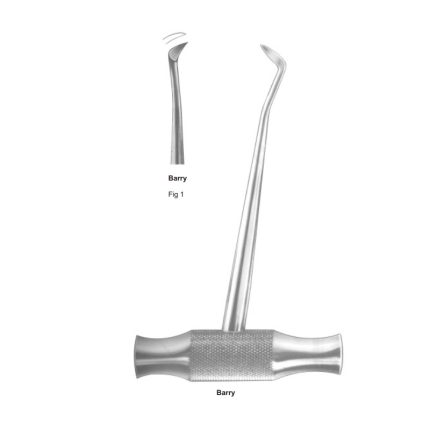 Barry Fig 1