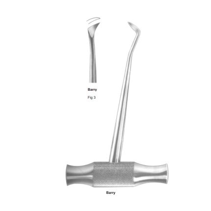 Barry Fig 3