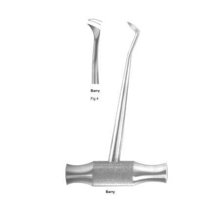 Barry Fig 4