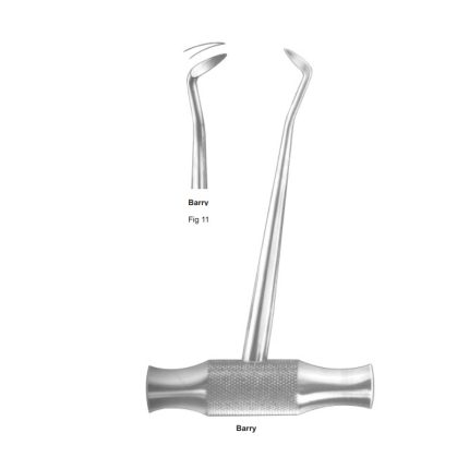 Barry Fig 11