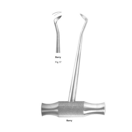 Barry Fig 17