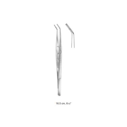 16.5 cm, 61/2”