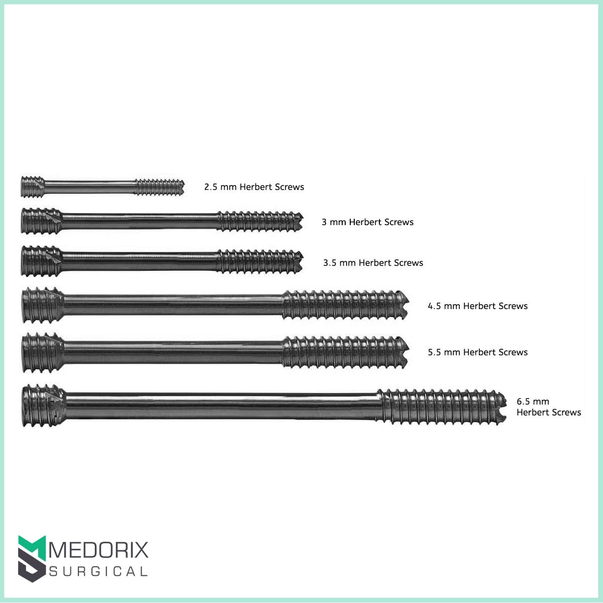 Herbert-Screws-5